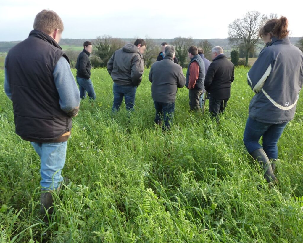groupe couverts
