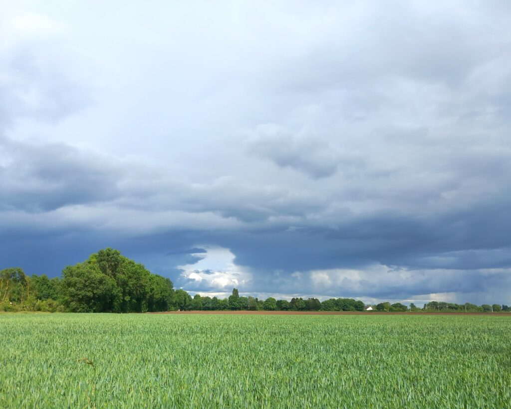 paysage agri2